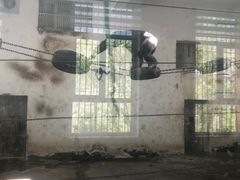 -新疆天山野生动物园