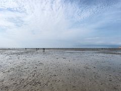 -仙人岛风景区