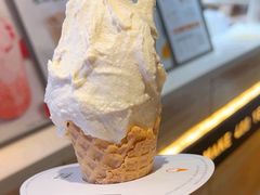 -野人牧坊Gelato(天津南开大悦城店)