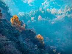 -燕子河大峡谷天坑仙境