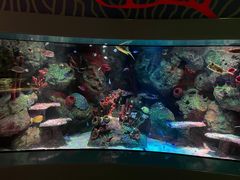 -沈阳海洋探索中心