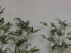 -九田家黑牛烤肉料理(新光汇店)