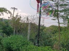 -雨花胜境