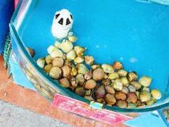 -晓伟海鲜家常菜