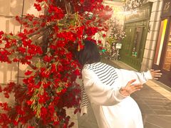 -花之城