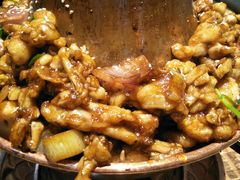 -蛙麻蛙辣炭火蛙锅(南环大街店)