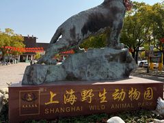 -上海野生动物园老虎餐厅