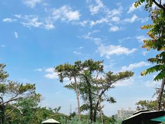 -狐尾山公园