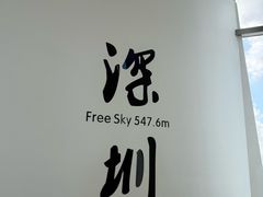 -平安金融中心云际观光层