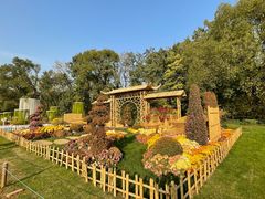 -上海共青森林公园