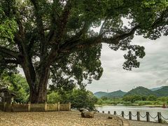 -古堰画乡景区