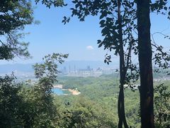 -大奇山国家森林公园