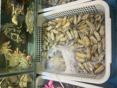 -福建美食城(老君堂店)