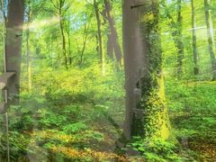 -极简口腔(总院)