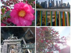 -中国证券博物馆