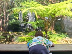 -Chom Cafe and Restaurant