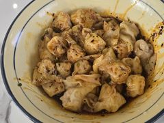 -珍味马边曹五抄手