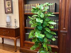 -梦都海鲜酒家(万达广场江桥店)