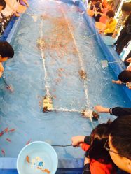 -萌宠亲子动物乐园(槐房万达店)