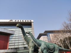 -河南自然博物馆
