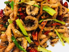 干煸鱿鱼须-砂锅李(九江路店)