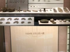 -四川大学博物馆
