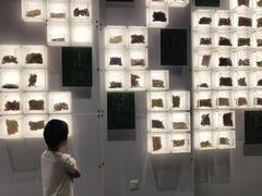 -广东中医药博物馆