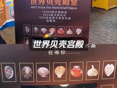 -青岛贝壳博物馆