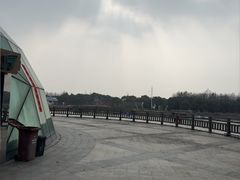 -上海都市菜园