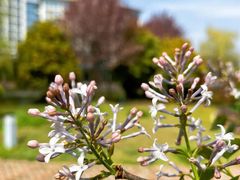 -南阳建业森林半岛假日酒店