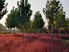 -东郊湿地公园