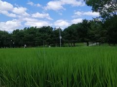 -北坞公园