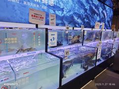 -物美大卖场(玉蜓桥店)