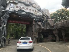 -莫里热带雨林景区
