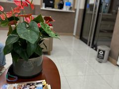 -百汇医疗健康管理与出国体检中心