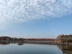 -溱湖国家湿地公园