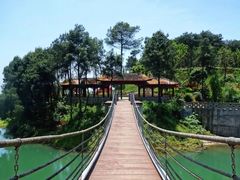 -铁山坪森林公园