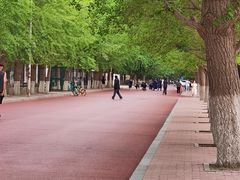 -辽宁大学(崇山校区)