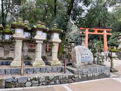 -奈良公园