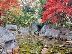 -阳澄湖半岛旅游度假区