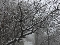-阳台山自然风景区