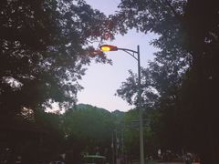 -楠溪江风景名胜区