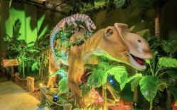 -恐龙探索乐园(磁器口店)