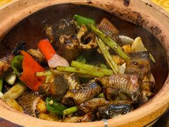 生啫金边花鳝-天宝食坊·啫啫煲大排档(西华路店)