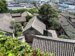 -戏马台景区