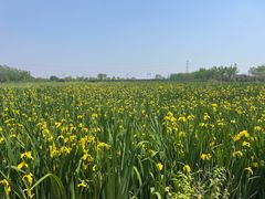 -永定河休闲森林公园