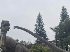 -自贡恐龙博物馆