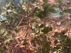 -上海昆虫博物馆