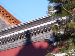 -北陵公园