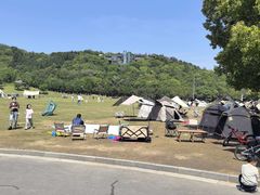 -羊山湖公园